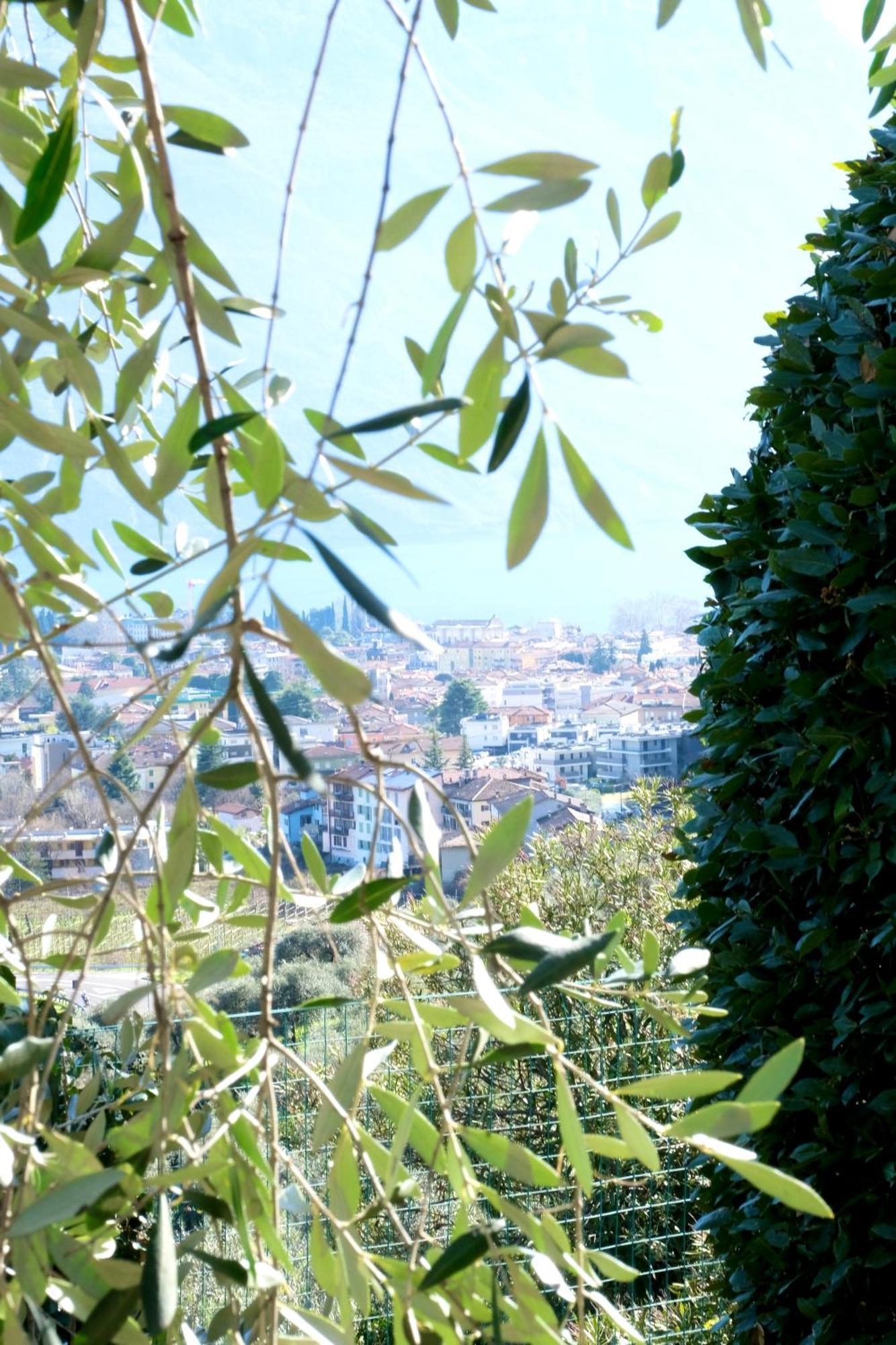 Casa Segantini - Panorama Pool Apartment Gavazzo Nuova Kültér fotó