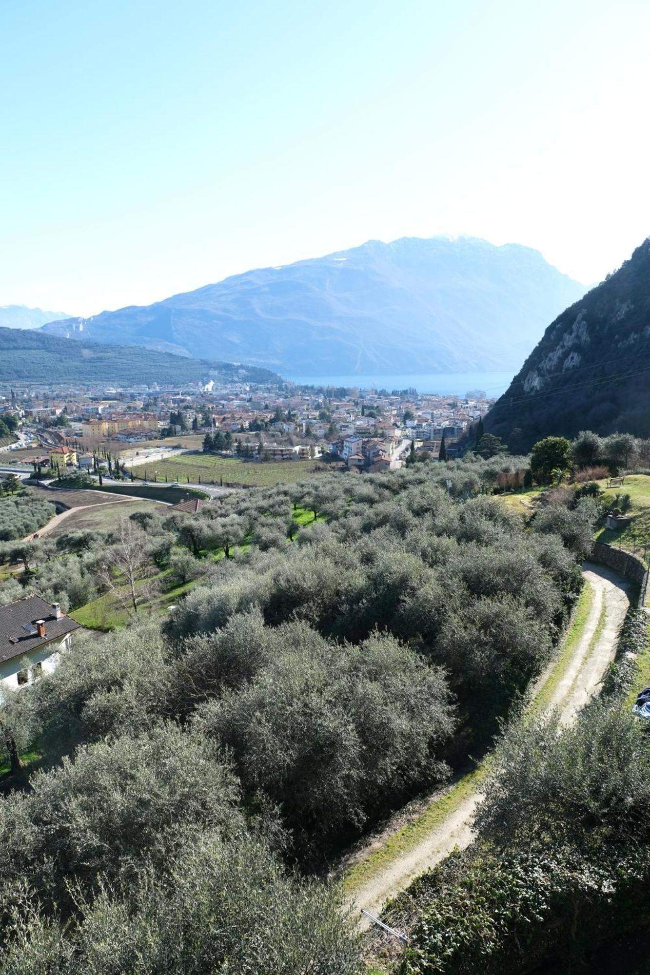 Casa Segantini - Panorama Pool Apartment Gavazzo Nuova Kültér fotó